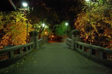 Haga click para ver la imagen ampliada bridge night.jpg